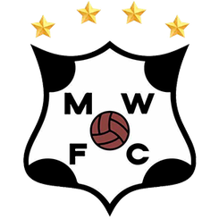 蒙得维的亚流浪者